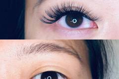 lash-seattle