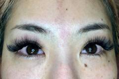 lash-seattle